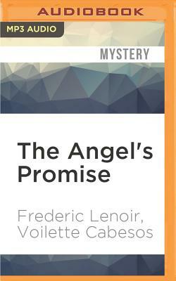The Angel's Promise by Frédéric Lenoir, Voilette Cabesos