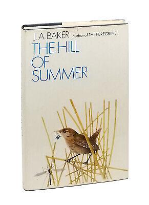 The Hill of Summer by J.A. Baker