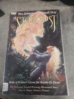 Stardust: Being a Romance Within the Realms of Faerie by Neil Gaiman