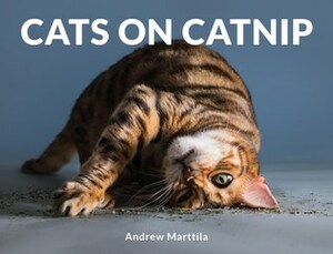 Cats on Catnip by Andrew Marttila