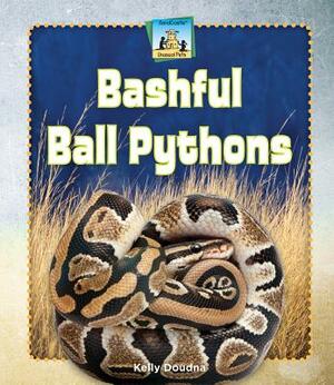 Bashful Ball Pythons by Kelly Doudna