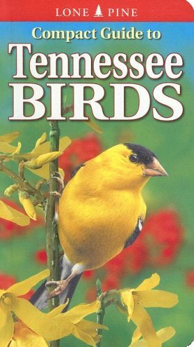 Compact Guide to Tennessee Birds by Gregory Kennedy, Michael Roedel