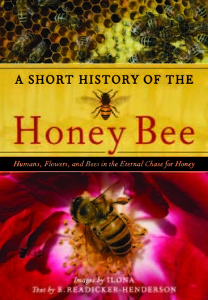 A Short History of the Honey Bee: Humans, Flowers, and Bees in the Eternal Chase for Honey by Ilona, Ed Readicker-Henderson