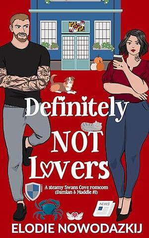 Definitely NOT Lovers by Elodie Nowodazkij, Elodie Nowodazkij