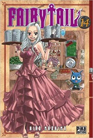 Fairy Tail, Tome 14 by Hiro Mashima