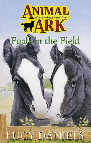 Animal Ark: Foals In The Field by Lucy Daniels