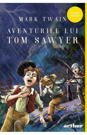 Aventurile lui Tom Sawyer by Mark Twain