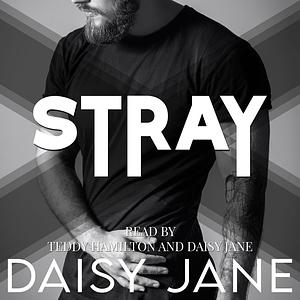 Stray by Daisy Jane