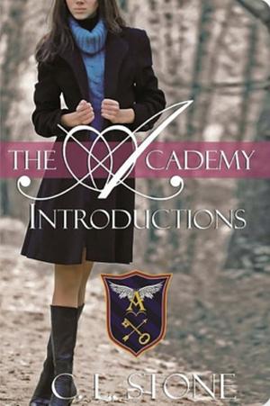 The Academy: Introductions  by C.L. Stone