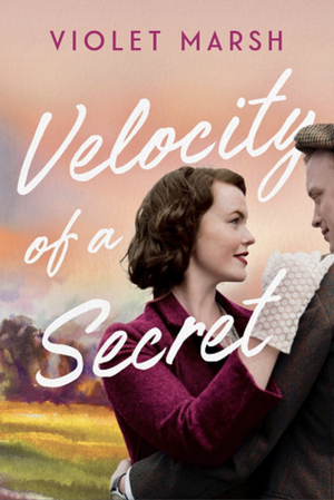 Velocity of a Secret by Violet Marsh