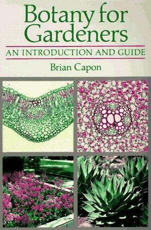 Botany For Gardeners: An Introduction And Guide by Brian Capon