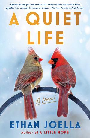 A Quiet Life: A Novel by Ethan Joella