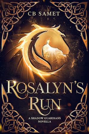 Rosalyn's Run by CB Samet