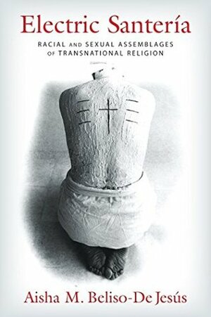 Electric Santer�a: Racial and Sexual Assemblages of Transnational Religion by Aisha M. Beliso-De Jesús