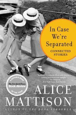 In Case We're Separated: Connected Stories by Alice Mattison