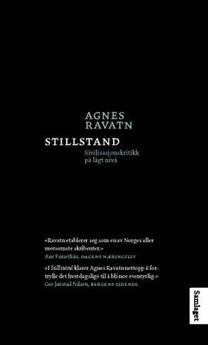 Stillstand - Sivilisasjonskritikk på lågt nivå by Agnes Ravatn