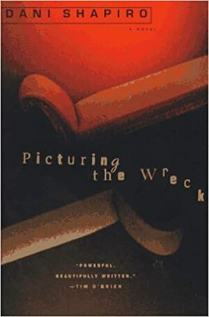 Picturing the Wreck by Dani Shapiro