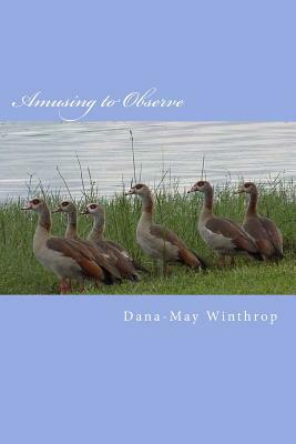 Amusing to Observe by Dana-May Winthrop