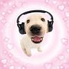 kadaverpup's profile picture