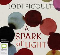 A Spark of Light by Jodi Picoult