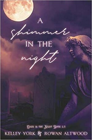 A Shimmer in the Night by Kelley York
