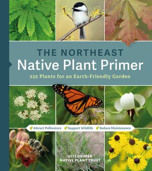 The Northeast Native Plant Primer: 235 Plants for an Earth-Friendly Garden by Native Plant Trust