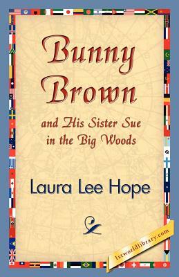 Bunny Brown and His Sister Sue in the Big Woods by Laura Lee Hope