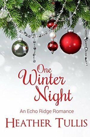 One Winter Night by Heather Tullis