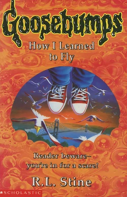 How I Learned to Fly by R.L. Stine