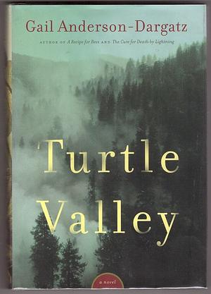 Turtle Valley by Gail Anderson-Dargatz