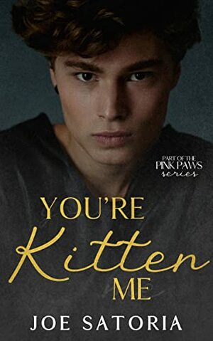 You're Kitten Me by Joe Satoria