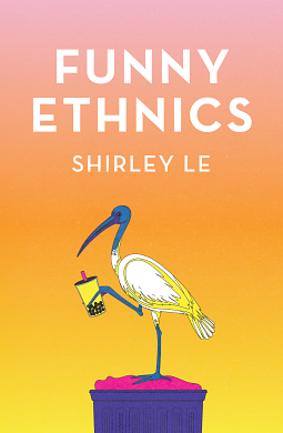 Funny Ethnics by Shirley Le