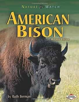 American Bison by Ruth Berman