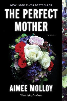 The Perfect Mother by Aimee Molloy