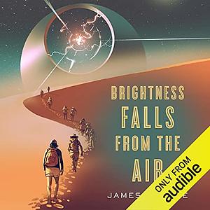 Brightness Falls from the Air by James Tiptree Jr.