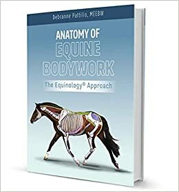 Anatomy of Equine Bodywork;the Equinology® Approach by Johanna Robson, Nicole Rombach, Barb Crabbe, Carrie S., Kerry Ridgway, Kate Barber, Sarah Linton, Juliette Hengartner, Gary Golladay, Debranne Pattillo, Paul M. Hougard, Lorna Johnson, Gemma Gaitskell, Peter Flood, Kalyani Premkumar