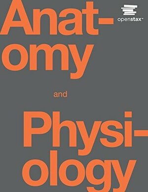 Anatomy and Physiology by Kelly A. Young, James A. Wise, J. Gordon Betts, Brandon Poe, Oksana Korol, Jody E. Johnson, Mark Womble, Eddie Johnson, Peter DeSaix, Dean Kruse, OpenStax