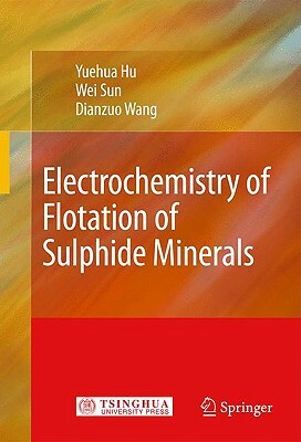 Electrochemistry of Flotation of Sulphide Minerals by Wei Sun, Dianzuo Wang, Yuehua Hu