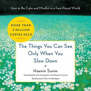 The Things You Can See Only When You Slow Down: How to Be Calm and Mindful in a Fast-Paced World by Haemin Sunim