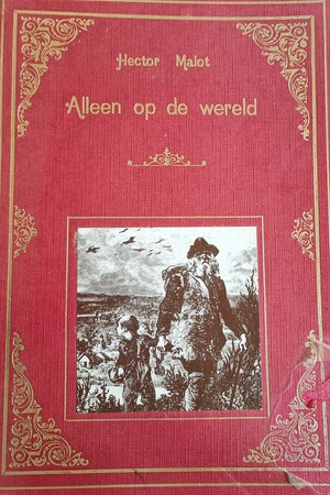 Alleen op de wereld by Hector Malot