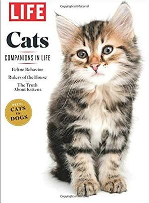 LIFE Cats by LIFE