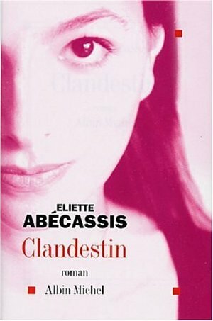 Clandestin by Eliette Abecassis