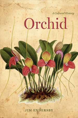 Orchid: A Cultural History by Jim Endersby