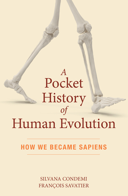 A Pocket History of Human Evolution: How We Became Sapiens by François Savatier, Silvana Condemi