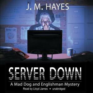 Server Down by J.M. Hayes