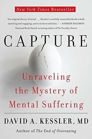 Capture: Unraveling the Mystery of Mental Suffering by David A. Kessler
