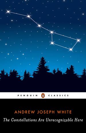 The Constellations Are Unrecognizable Here by Andrew Joseph White
