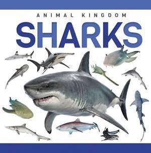 Sharks by Alex Hall