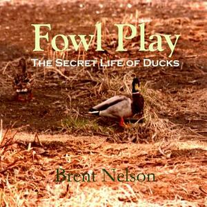 Fowl Play: The Secret Life of Ducks by Brent Nelson