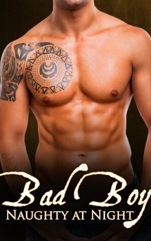 Bad Boy: Naughty at Night by Jamie Lake